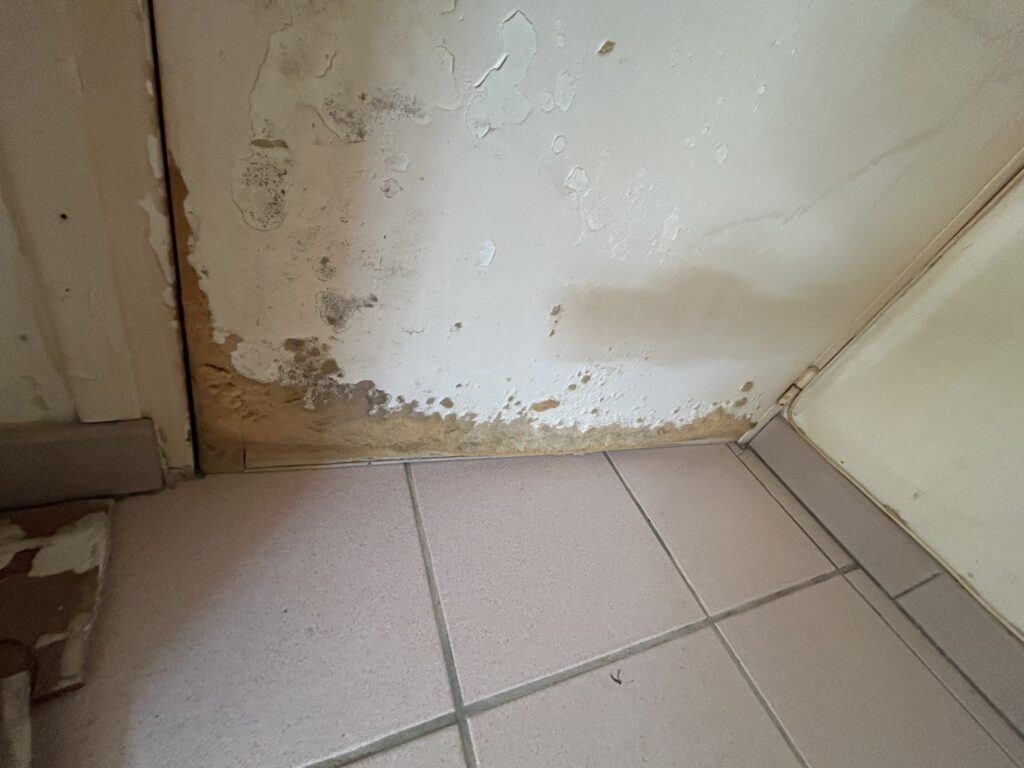 Mur dégradé avant rénovation de la salle de bain
