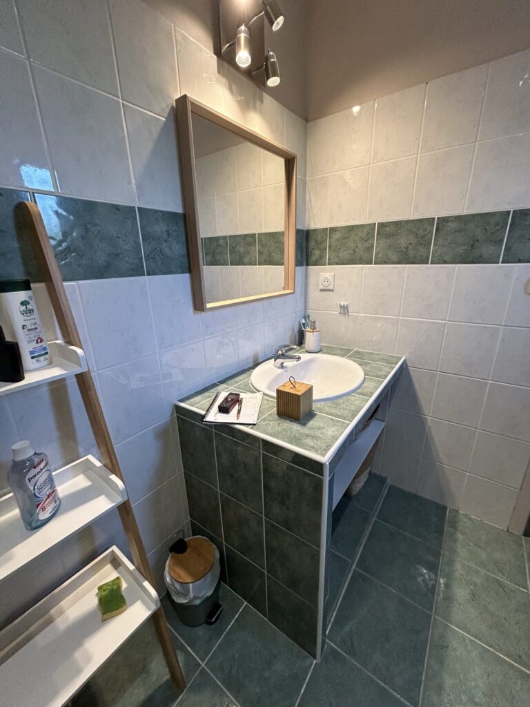 Salle de bain avant rénovation complète avec ancienne douche et ancien meuble vasque.